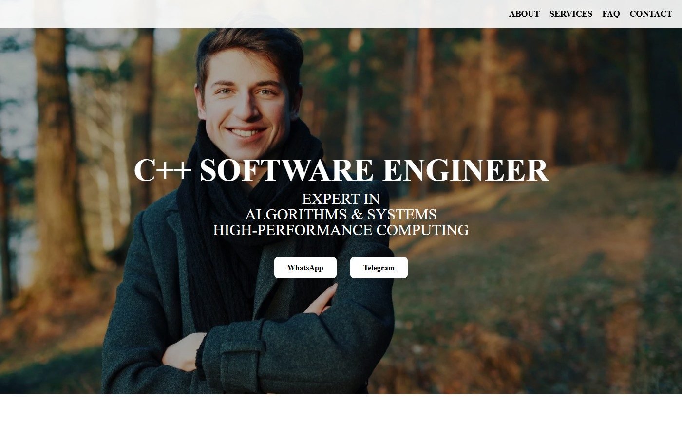 Profesionální portfolio — ukázka webu